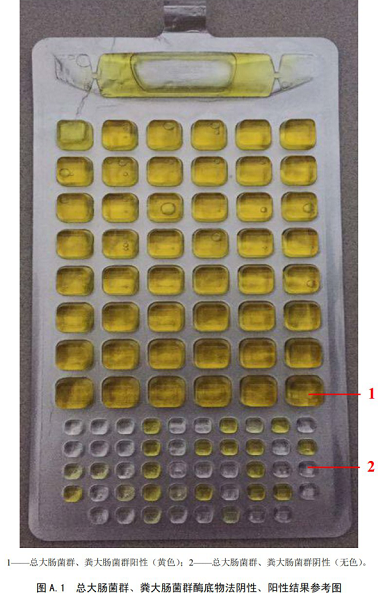 總大腸菌群、糞大腸菌群酶底物法陰性、陽性結(jié)果參考圖